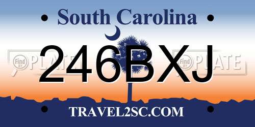 246BXJ South Carolina License Plate