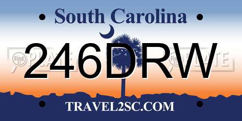 246DRW South Carolina License Plate