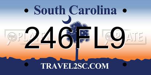 246FL9 South Carolina License Plate