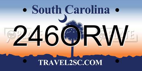 246ORW South Carolina License Plate
