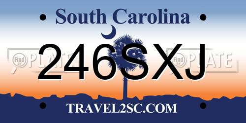 246SXJ South Carolina License Plate