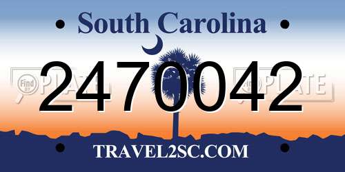 2470042 South Carolina License Plate
