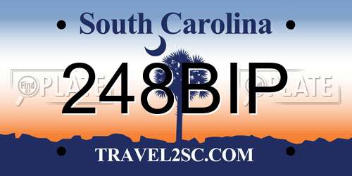 248BIP South Carolina License Plate