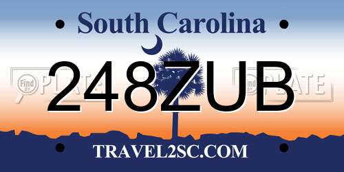 248ZUB South Carolina License Plate