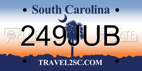 249JUB South Carolina License Plate
