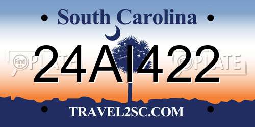 24AI422 South Carolina License Plate