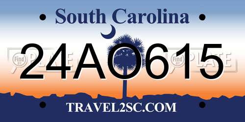 24AO615 South Carolina License Plate
