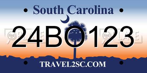 24BO123 South Carolina License Plate
