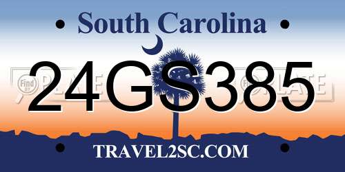 24GS385 South Carolina License Plate