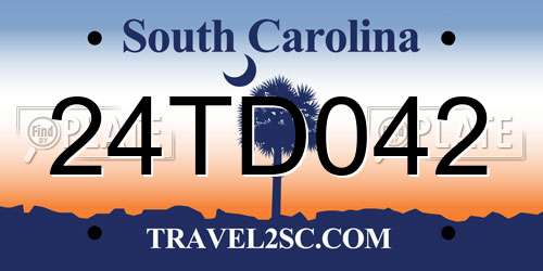 24TD042 South Carolina License Plate