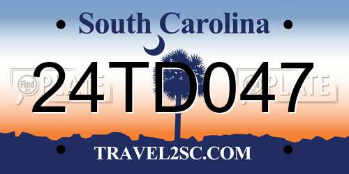 24TD047 South Carolina License Plate