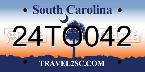 24TO042 South Carolina License Plate