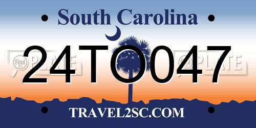 24TO047 South Carolina License Plate