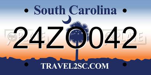 24ZO042 South Carolina License Plate