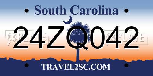 24ZQ042 South Carolina License Plate