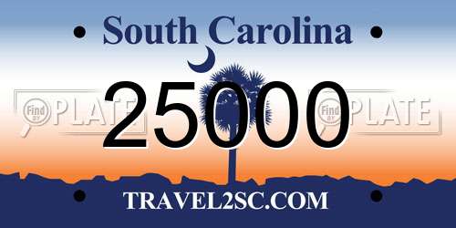25000 South Carolina License Plate