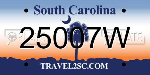 25007W South Carolina License Plate
