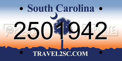 2501942 South Carolina License Plate