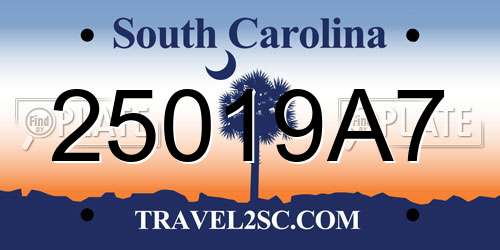 25019A7 South Carolina License Plate