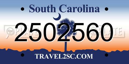 2502560 South Carolina License Plate