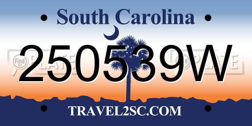250539W South Carolina License Plate