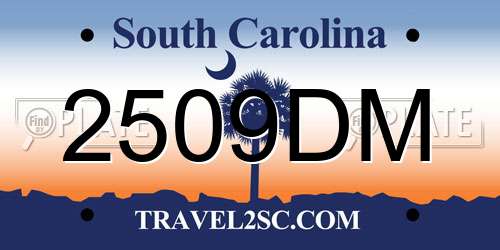 2509DM South Carolina License Plate