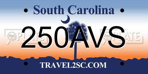 250AVS South Carolina License Plate