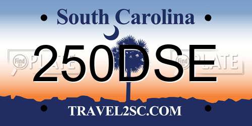 250DSE South Carolina License Plate