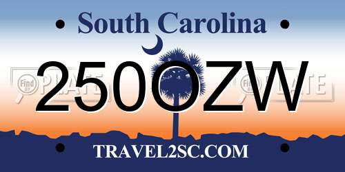 250OZW South Carolina License Plate