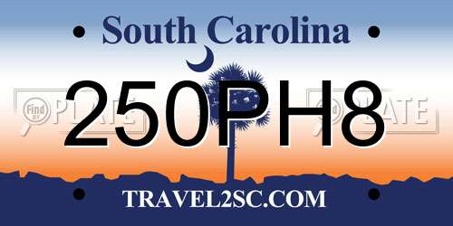 250PH8 South Carolina License Plate