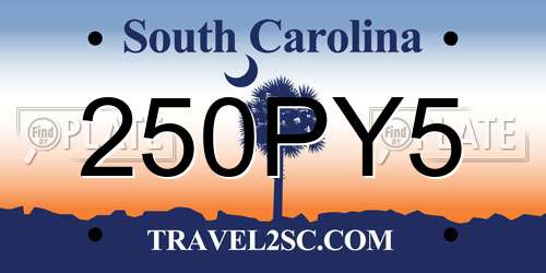 250PY5 South Carolina License Plate