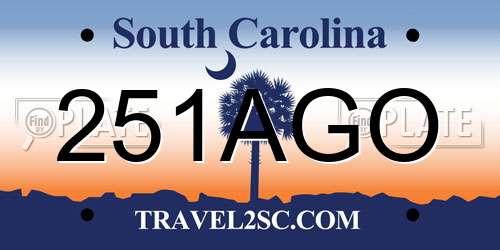251AGO South Carolina License Plate