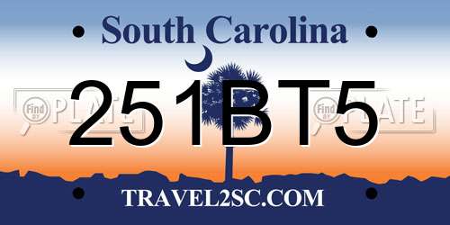 251BT5 South Carolina License Plate