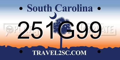 251G99 South Carolina License Plate