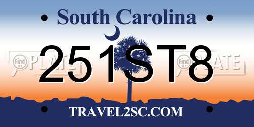 251ST8 South Carolina License Plate