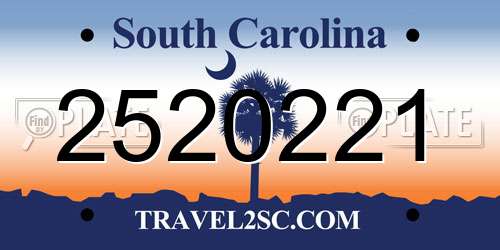 2520221 South Carolina License Plate