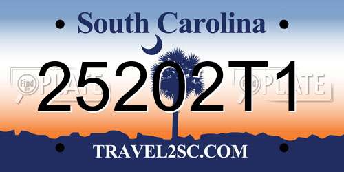 25202T1 South Carolina License Plate
