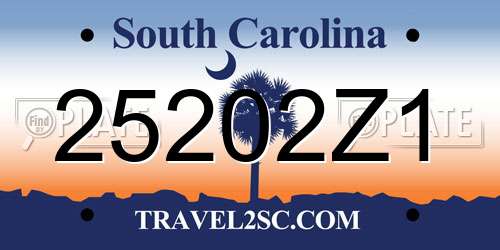 25202Z1 South Carolina License Plate