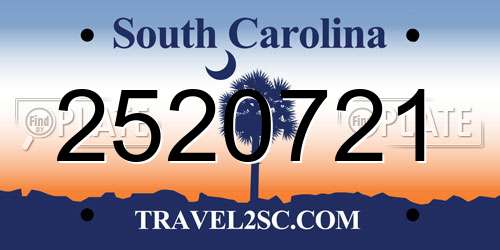 2520721 South Carolina License Plate