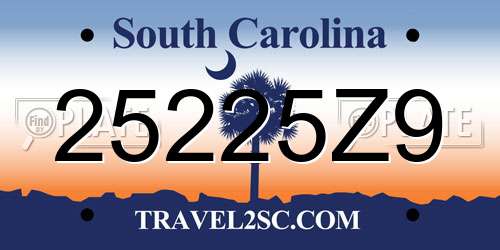 25225Z9 South Carolina License Plate