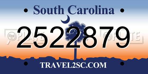 2522879 South Carolina License Plate
