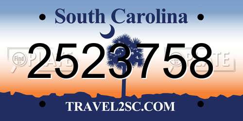 2523758 South Carolina License Plate