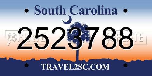 2523788 South Carolina License Plate