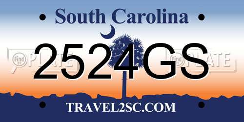 2524GS South Carolina License Plate