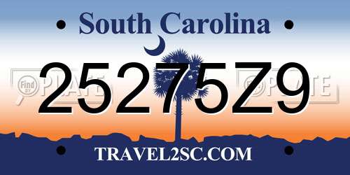 25275Z9 South Carolina License Plate