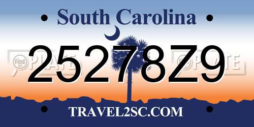 25278Z9 South Carolina License Plate
