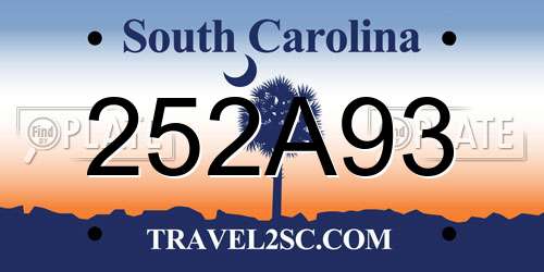 252A93 South Carolina License Plate