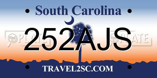 252AJS South Carolina License Plate