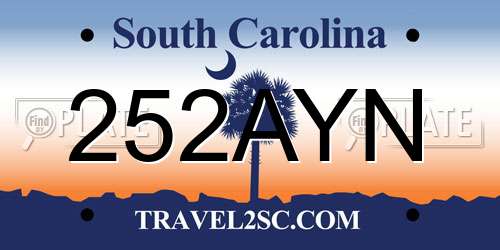 252AYN South Carolina License Plate