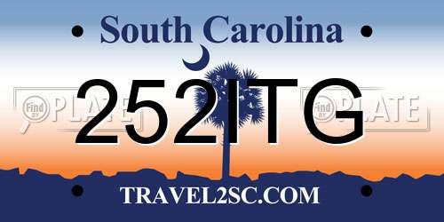 252ITG South Carolina License Plate